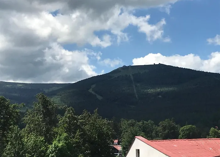 Mega Widok