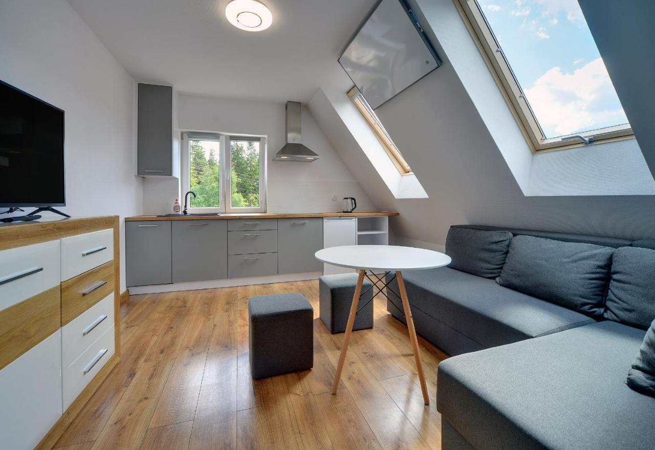 Apartment Mega Widok